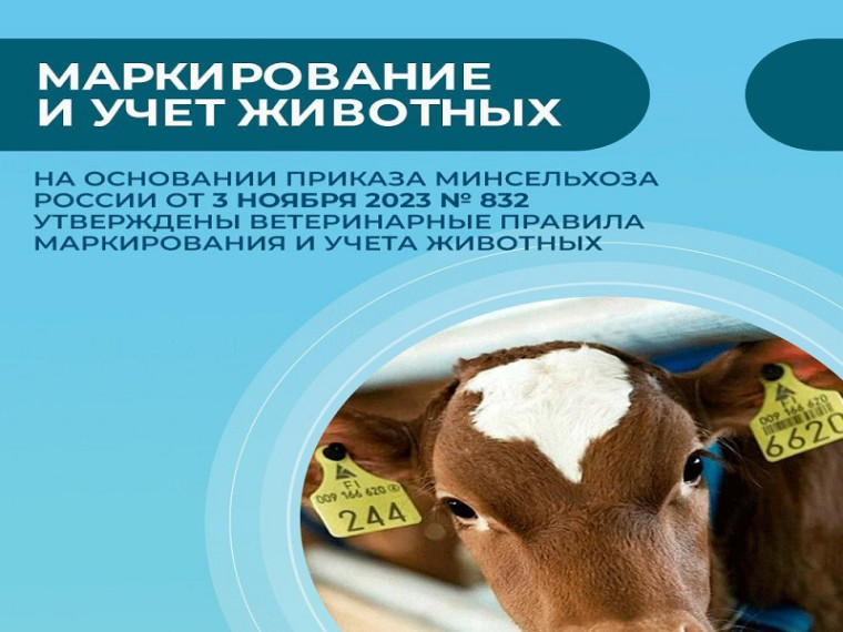 Памятка по маркированию сельскохозяйственных животных. Памятка по маркированию сельскохозяйственных животных.
